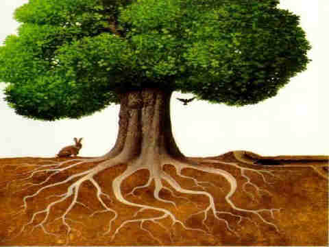 Details 48 los árboles y sus raíces